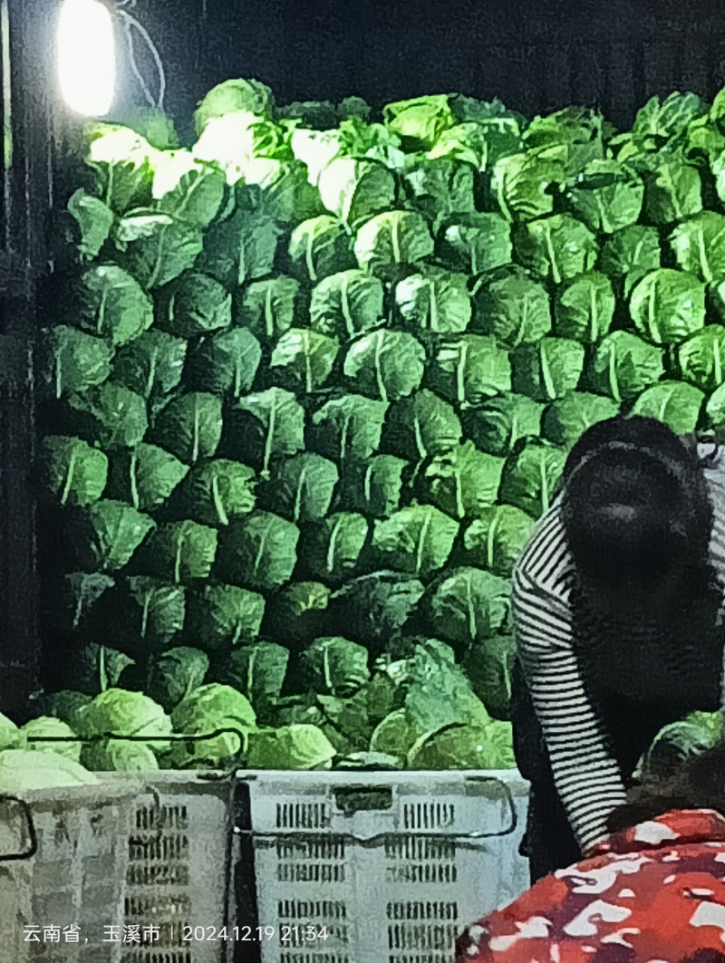 云南铁头