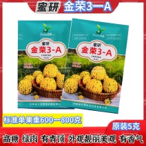 蜜研金荣3A八里香甜瓜种子超甜靓丽高糖绿肉甜瓜种子香甜大