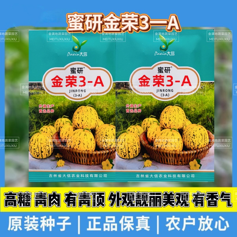 蜜研金荣3A八里香甜瓜种子超甜靓丽高糖绿肉甜瓜种子香甜大