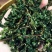 安溪高山铁观音，茶农直播，良心茶，PC盒装，500克，