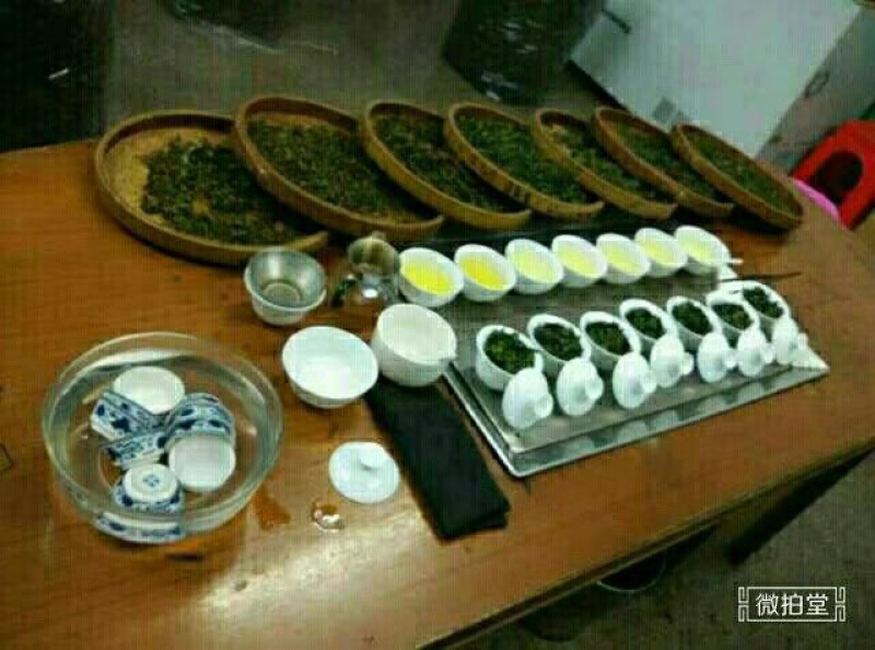 安溪高山铁观音，茶农直播，良心茶，PC盒装，500克，