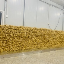 河南许昌腐竹出厂家批发直销腐竹条腐竹段大量有货
