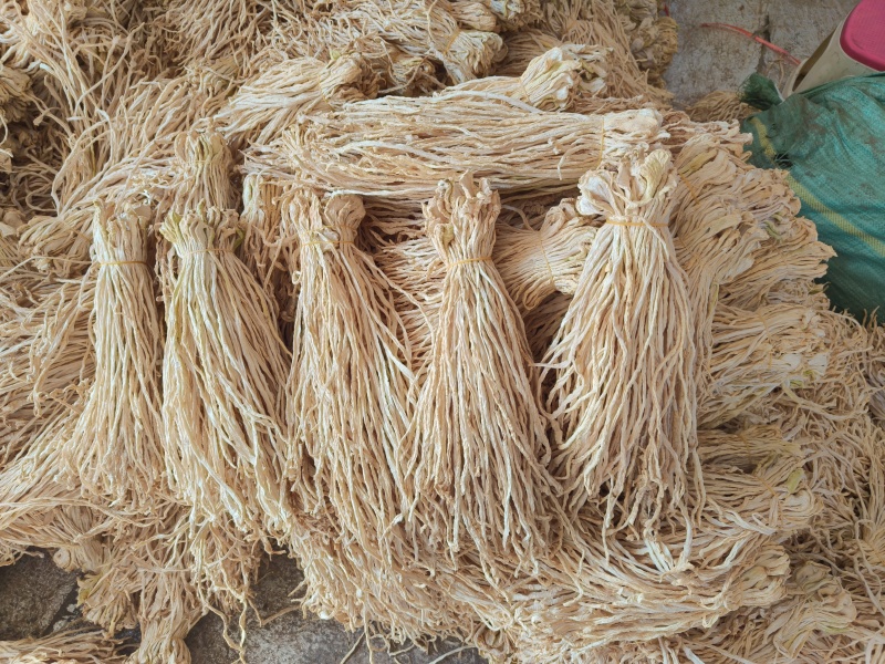 加工条云南自然风干萝卜干白萝卜条加工厂萝卜条酱菜萝卜条