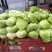精品包菜汉中扁包菜产地直销个头均匀颜色鲜亮无虫眼