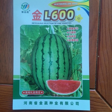 L600礼品小西瓜单果重1.5一2.5公斤皮薄且韧