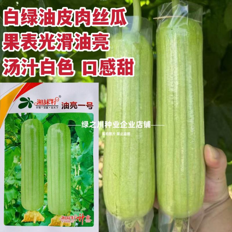 湘妹籽油亮一号肉丝瓜种子味甜汤白白玉丝瓜种子白绿色水瓜