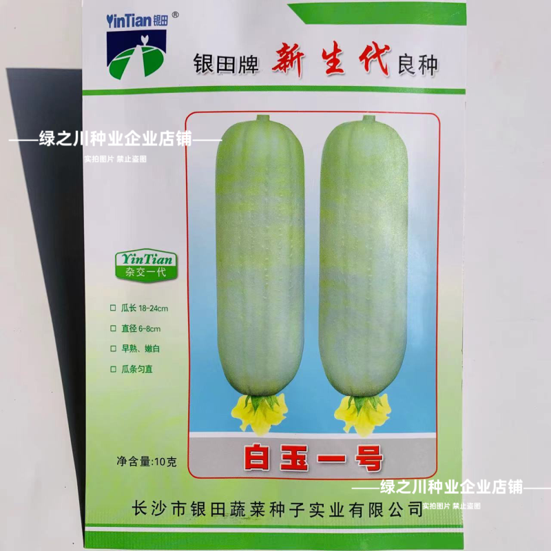 湘妹籽油亮一号肉丝瓜种子味甜汤白白玉丝瓜种子白绿色水瓜