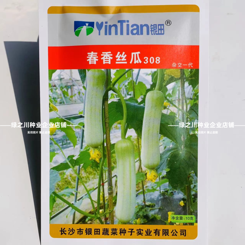 湘妹籽油亮一号肉丝瓜种子味甜汤白白玉丝瓜种子白绿色水瓜