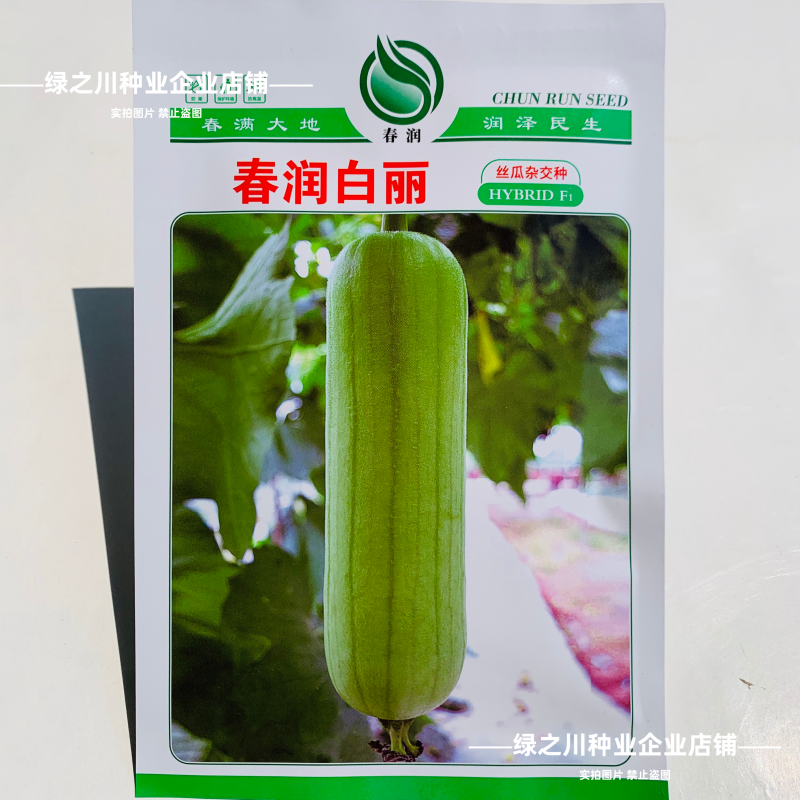 湘妹籽油亮一号肉丝瓜种子味甜汤白白玉丝瓜种子白绿色水瓜