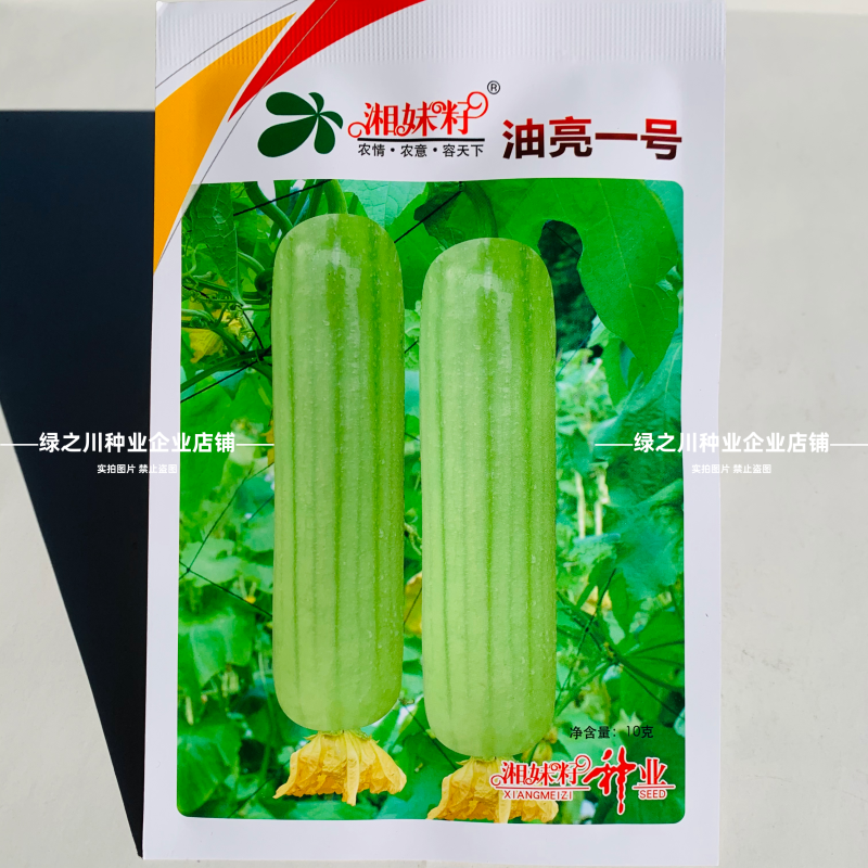 湘妹籽油亮一号肉丝瓜种子味甜汤白白玉丝瓜种子白绿色水瓜
