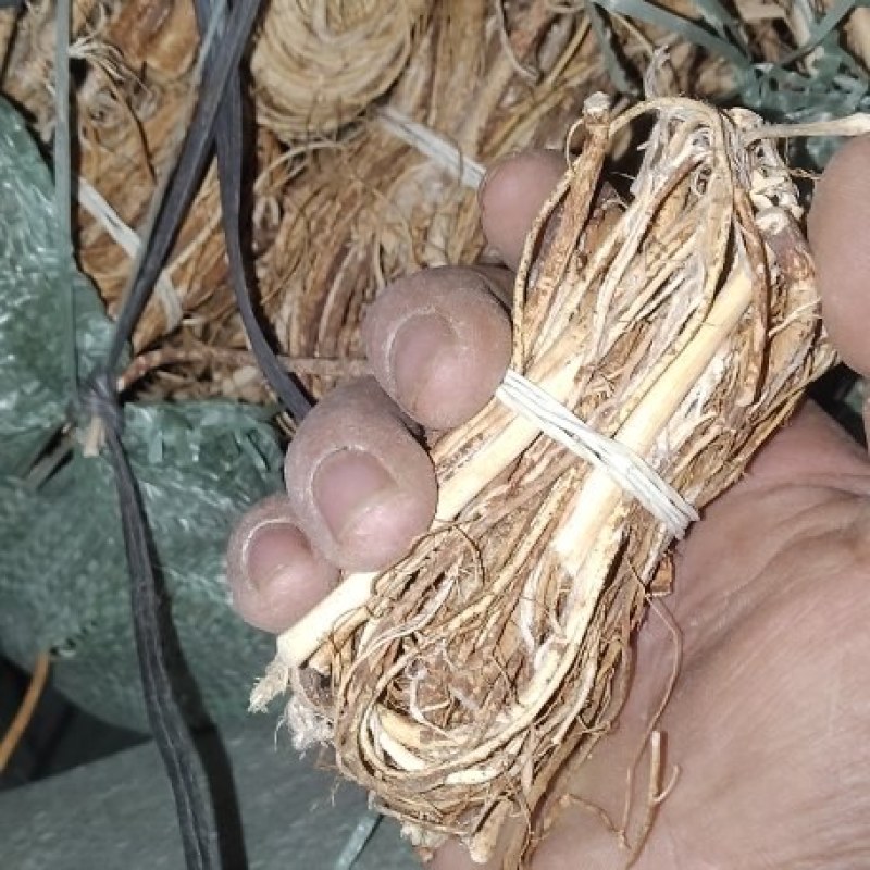 五指毛桃小扎干货***正品自产自销保真