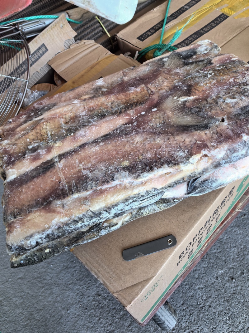 草鱼肉开背加工的欢迎下单