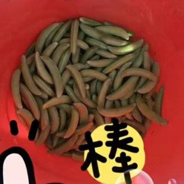 江苏.泰州甜豌豆5.8元/斤起，1000起，物流费自理.