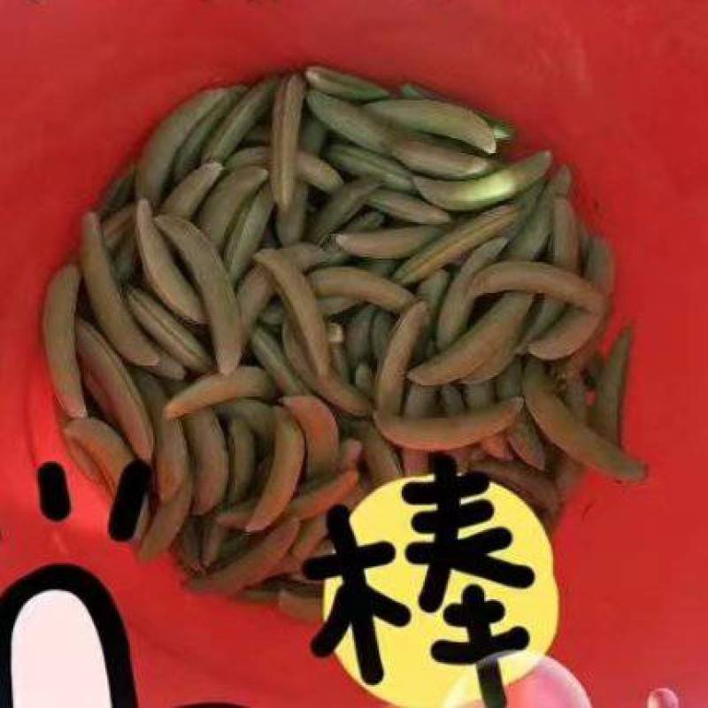江苏.泰州甜豌豆5.8元/斤起，1000起，物流费自理.