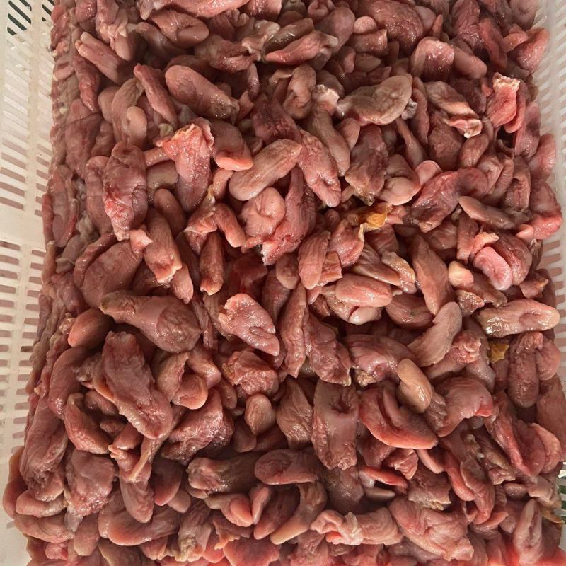 鱼肚、石斑鱼肚、巴沙鱼肚、鱼肚现货、长期供货