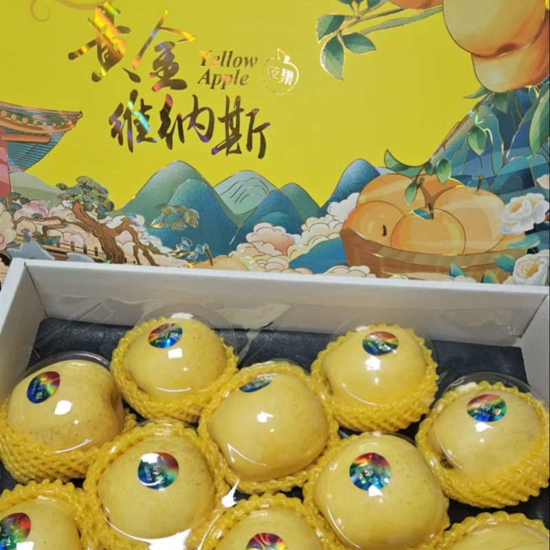 维纳斯黄金苹果