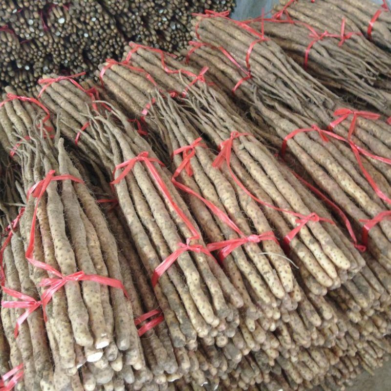 铁棍山药