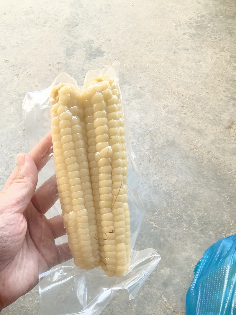 拇指玉米