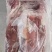 去皮鹅体肉