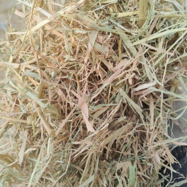 稻草扎断精品稻草过风选稻草