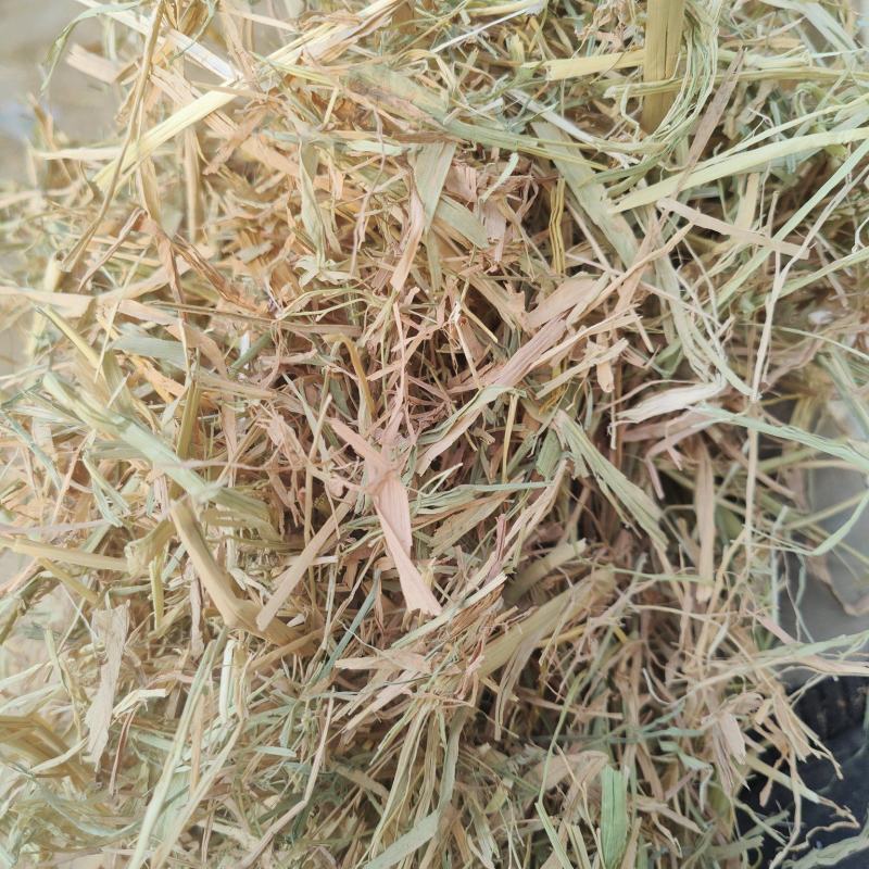 稻草扎断精品稻草过风选稻草