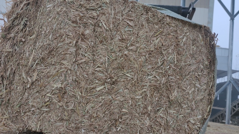 稻草扎断精品稻草过风选稻草