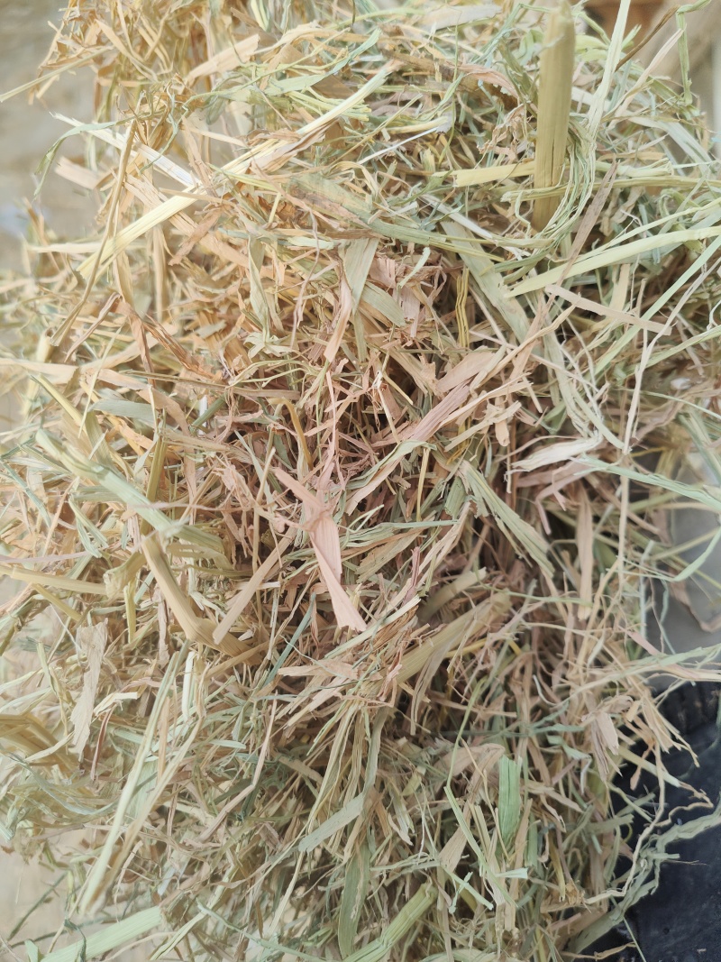 稻草扎断精品稻草过风选稻草