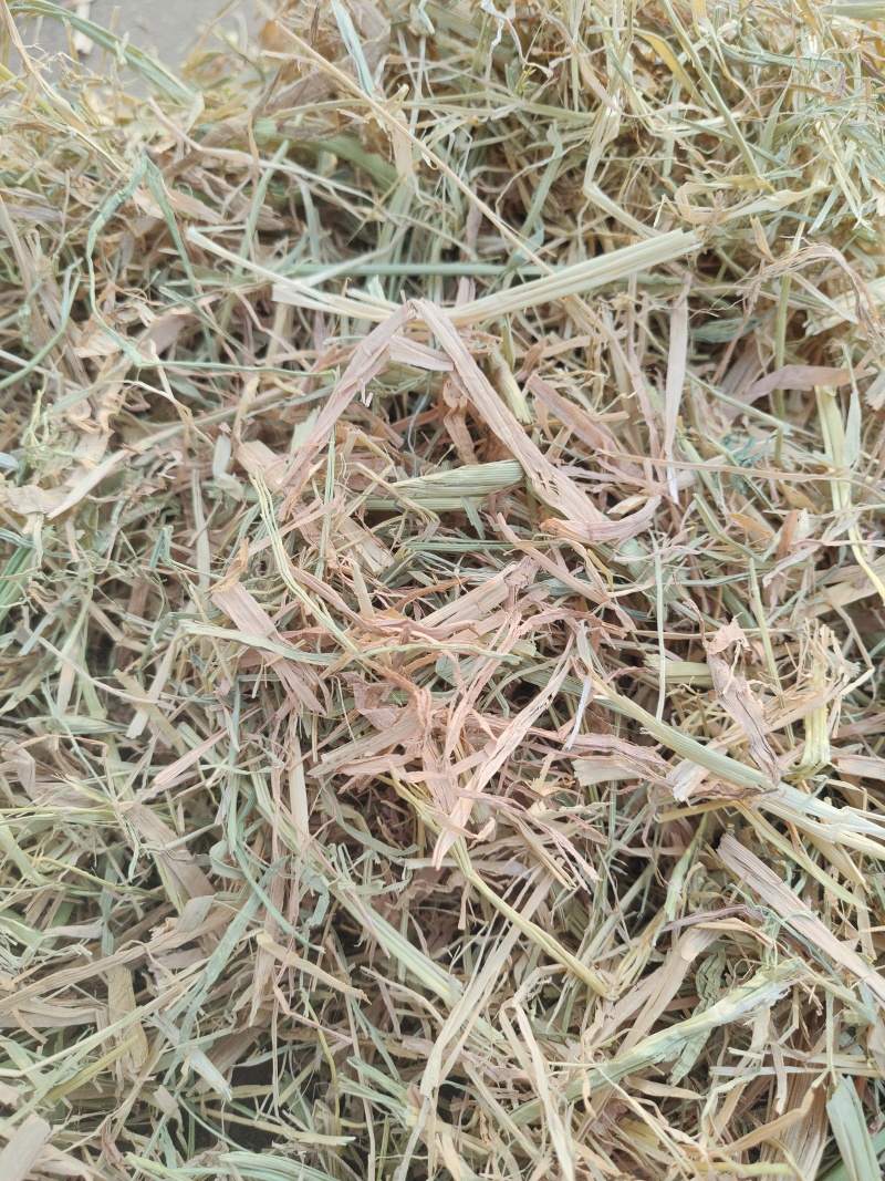 稻草扎断精品稻草过风选稻草