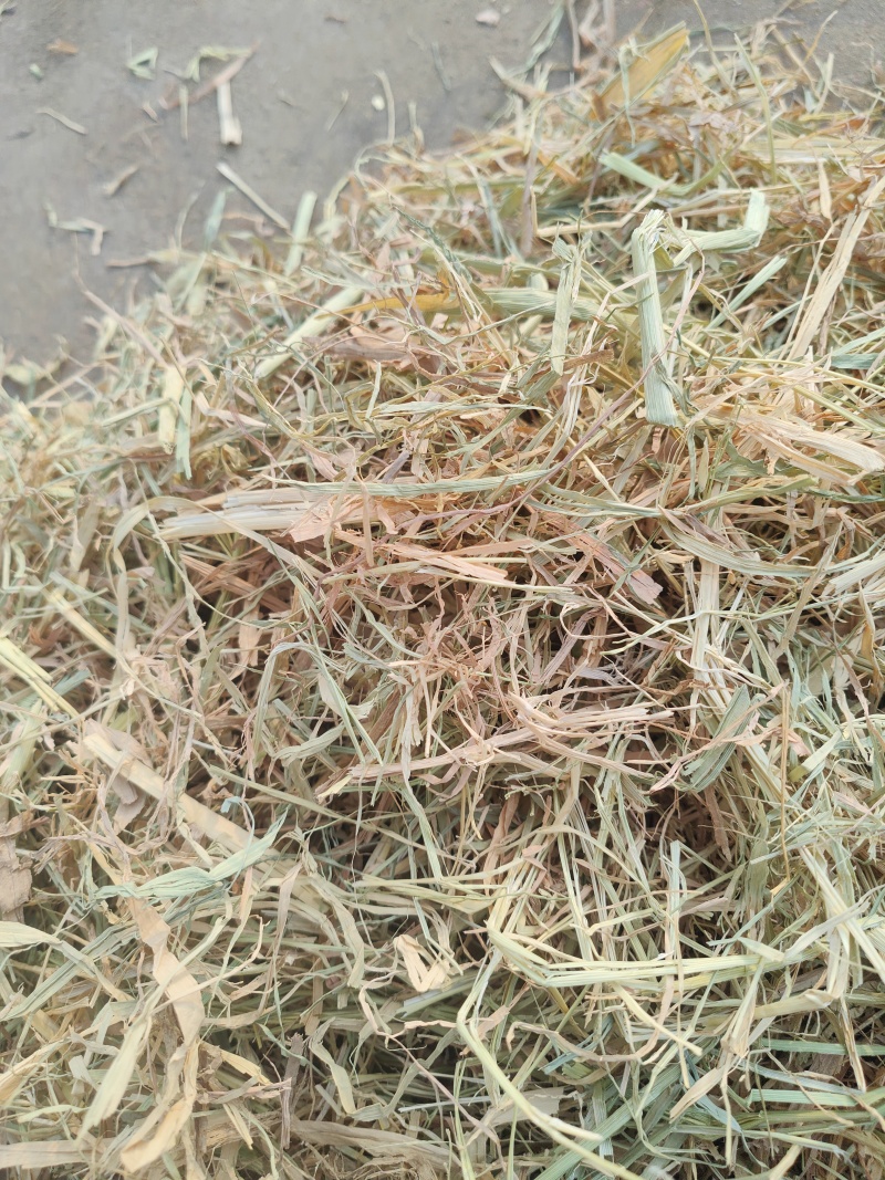 稻草扎断精品稻草过风选稻草