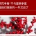 北美冬青切枝鲜切水培插花新款春节喜庆年宵花鲜枝室内客厅摆
