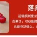 北美冬青切枝鲜切水培插花新款春节喜庆年宵花鲜枝室内客厅摆