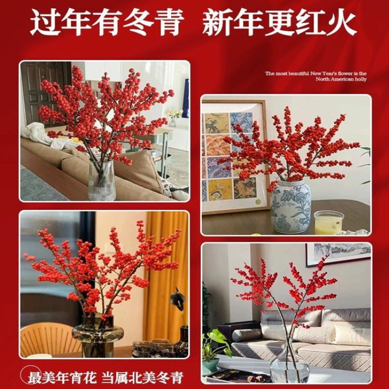 北美冬青切枝鲜切水培插花新款春节喜庆年宵花鲜枝室内客厅摆