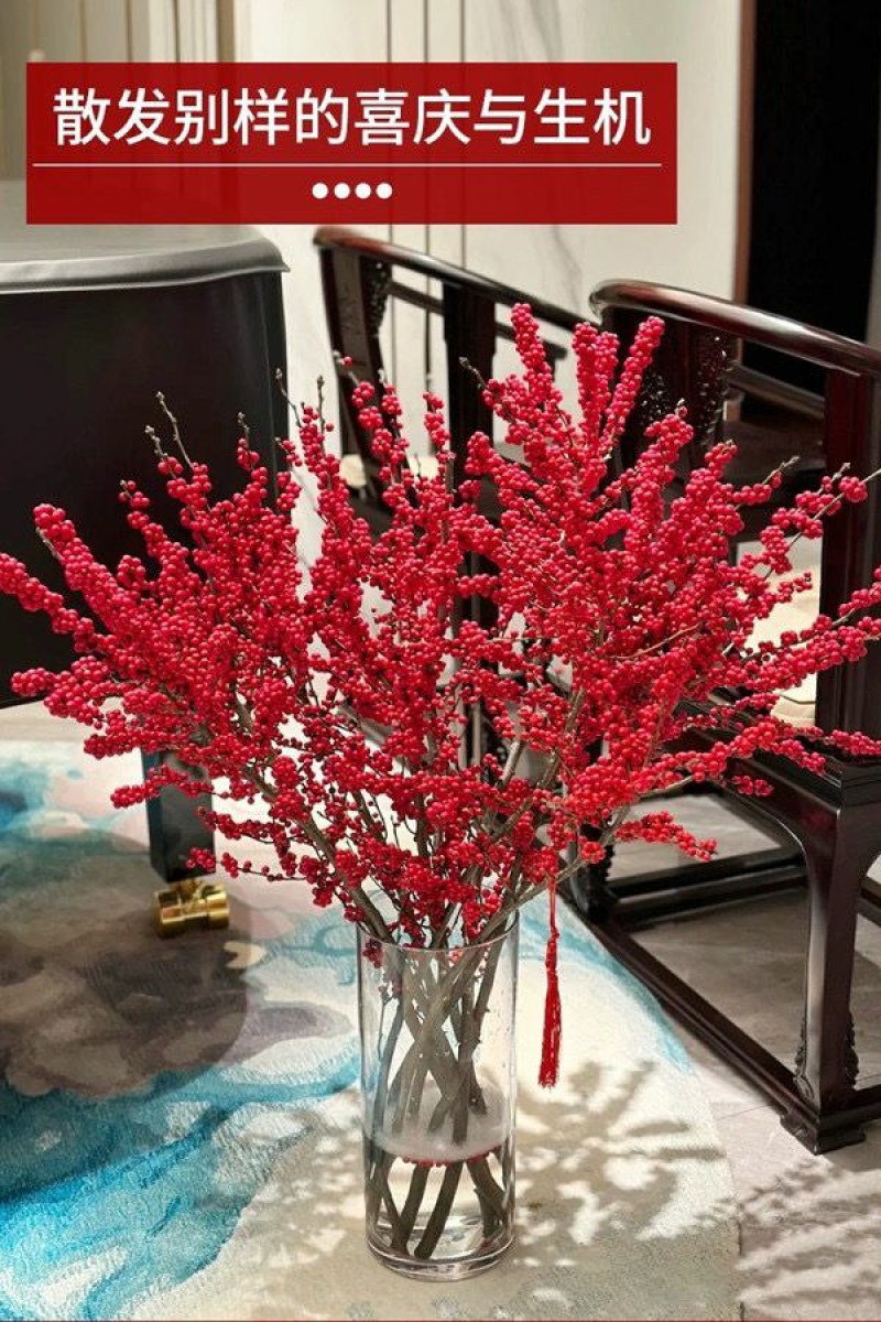 北美冬青切枝鲜切水培插花新款春节喜庆年宵花鲜枝室内客厅摆