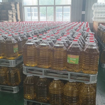 20升转基因大豆油