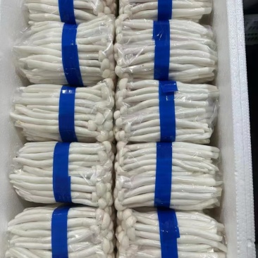 海鲜菇