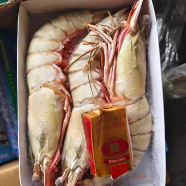 活冻黑虎虾大量供应量大从优，一手货源，欢迎咨询
