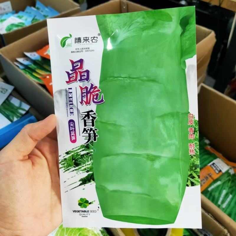 莴笋种子晶脆香笋种子尖叶皮白肉淡绿耐热耐寒蔬菜种子
