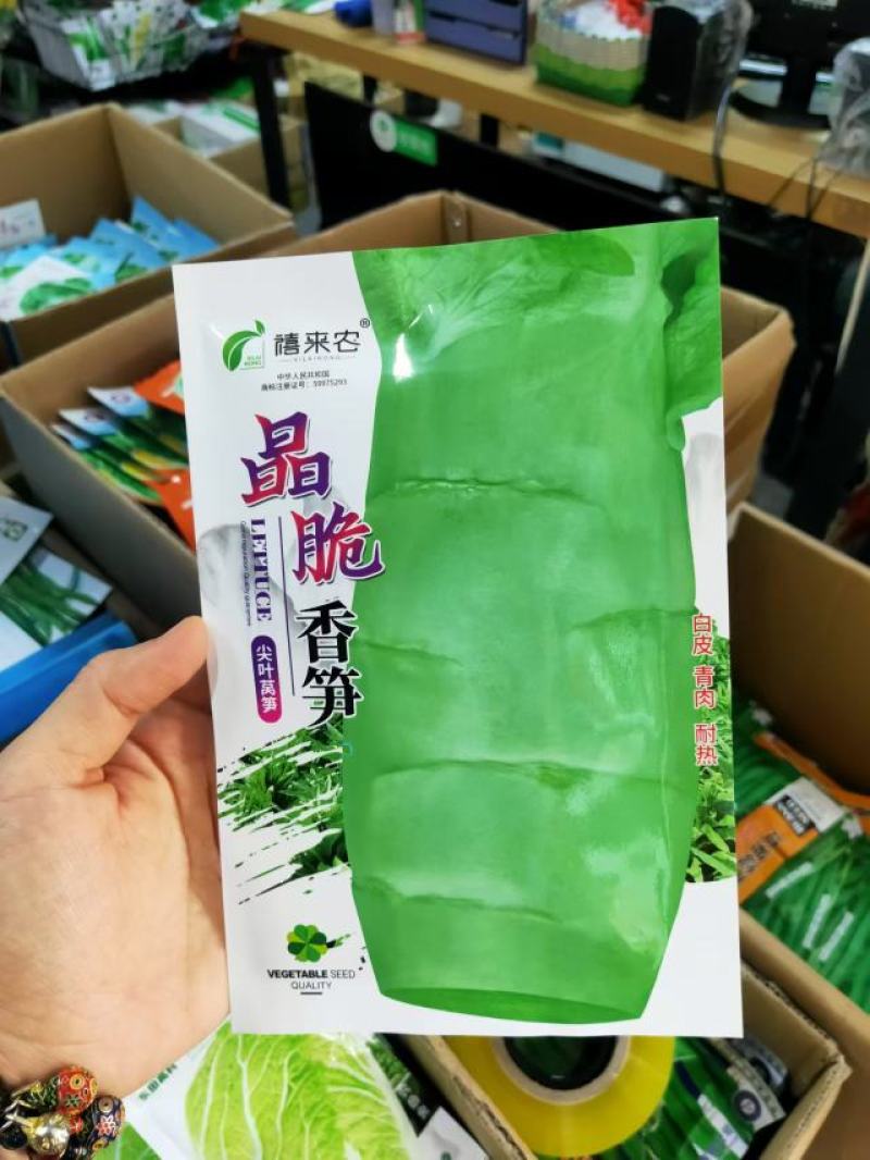 莴笋种子晶脆香笋种子尖叶皮白肉淡绿耐热耐寒蔬菜种子