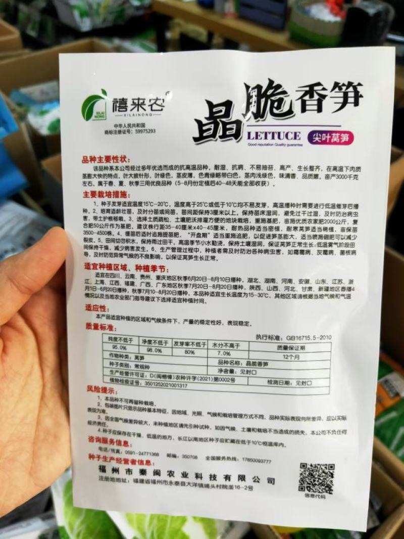 莴笋种子晶脆香笋种子尖叶皮白肉淡绿耐热耐寒蔬菜种子