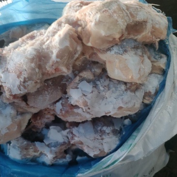 饲料鸡半架
