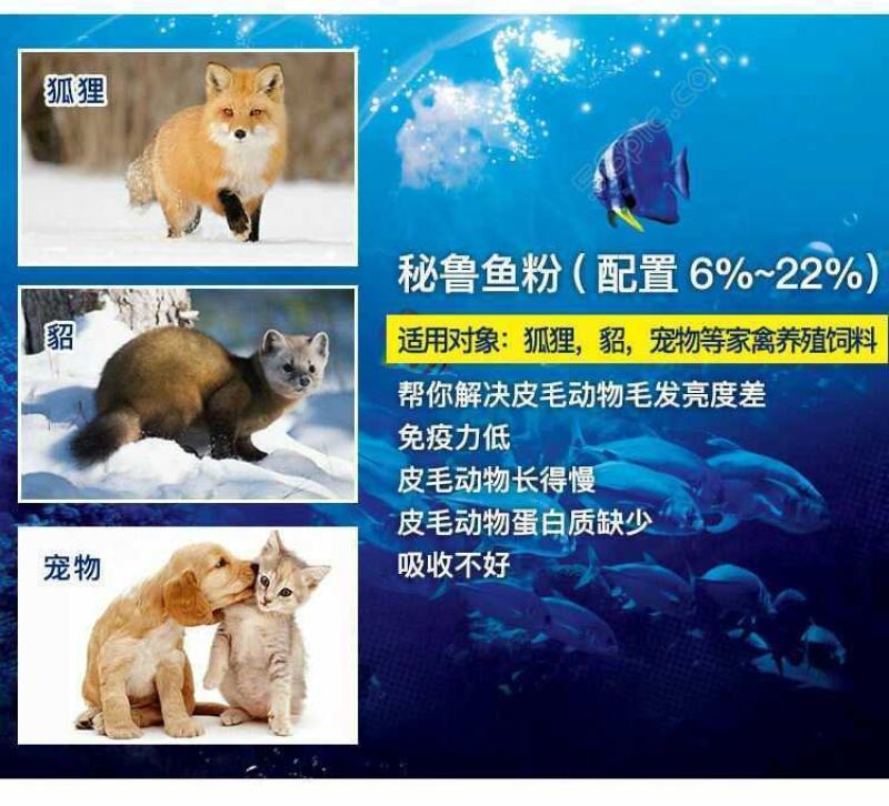 秘鲁68蛋白进口鱼粉喂家禽猪水产龙虾宠物钓鱼各种兽好选择