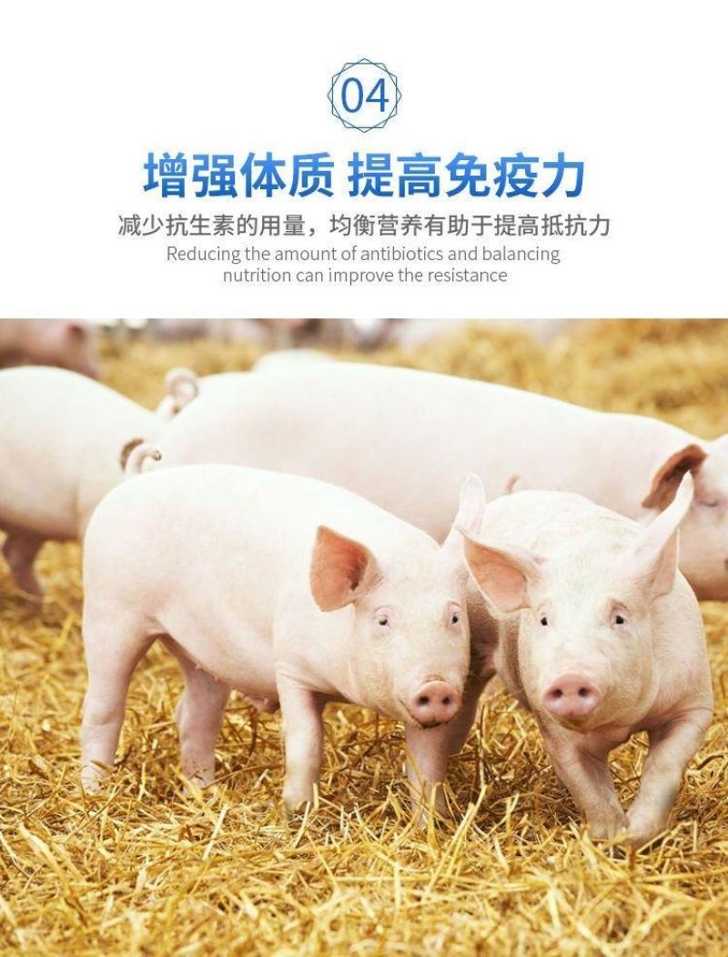 秘鲁68蛋白进口鱼粉喂家禽猪水产龙虾宠物钓鱼效果没的说