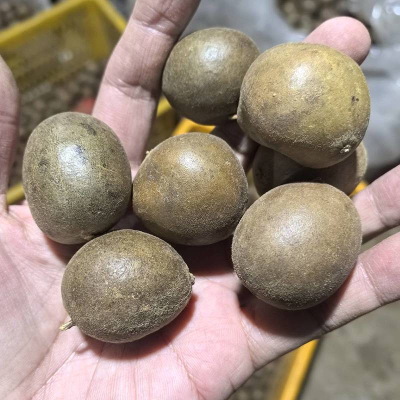 精品罗汉果仔仔果特价处理10吨地摊货罗汉果干果批发