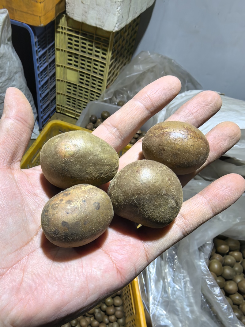 精品罗汉果仔仔果特价处理10吨地摊货罗汉果干果批发