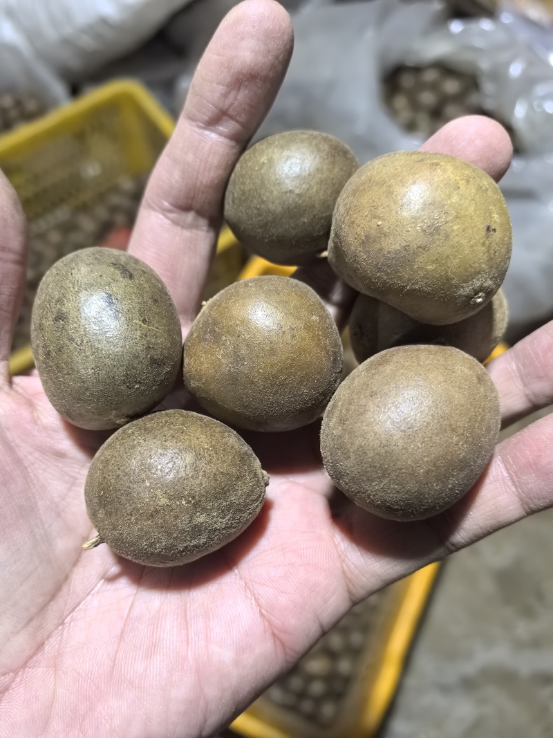 精品罗汉果仔仔果特价处理10吨地摊货罗汉果干果批发