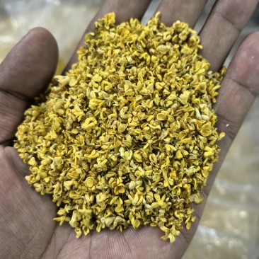 精选桂花桂林无硫桂花干，大量批发货源充足，可视频看货