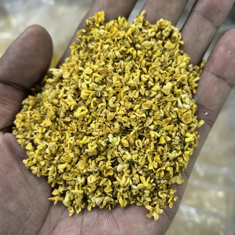 精选桂花桂林无硫桂花干，大量批发货源充足，可视频看货
