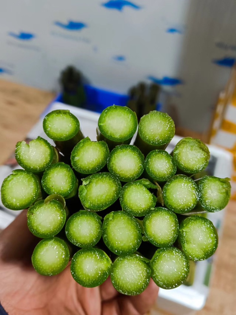 杂交一代芦笋种子粗壮均匀包头紧高产优质