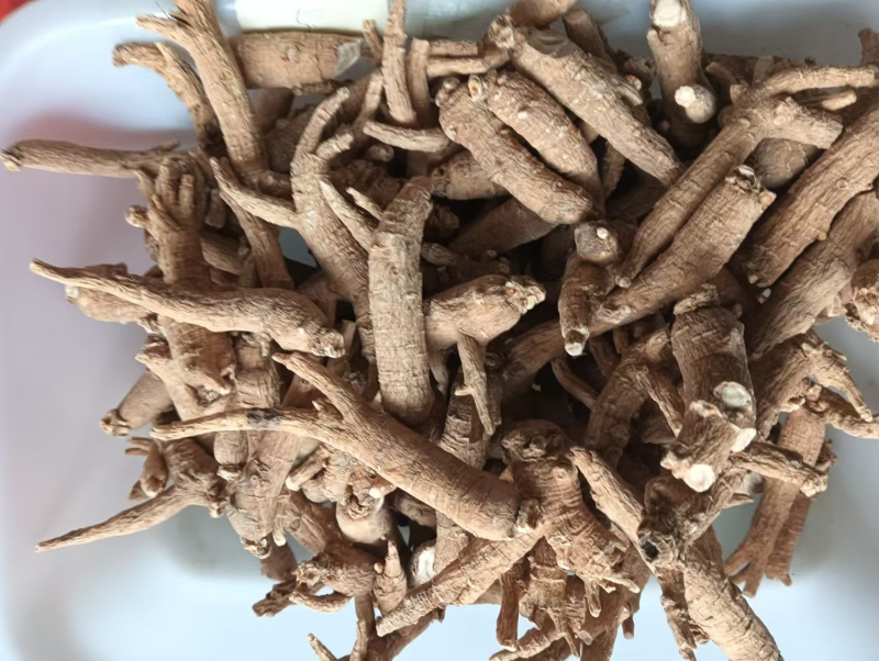 文登西洋参统货批发青岛威海日照看货方便