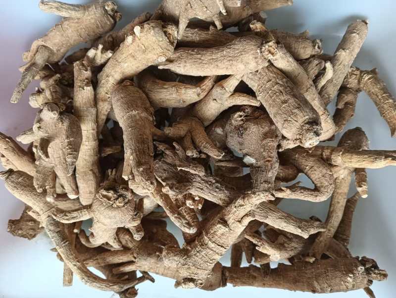 文登西洋参统货批发青岛威海日照看货方便